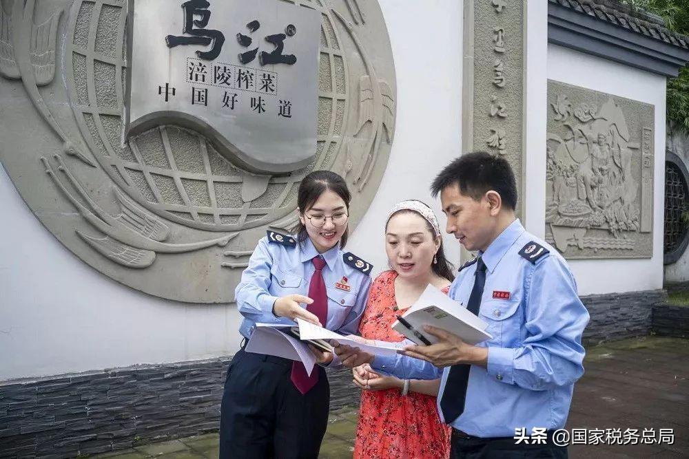 食品企业税收筹划分析方案,实时解读