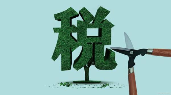 公司怎么合理避增值税,本月解读