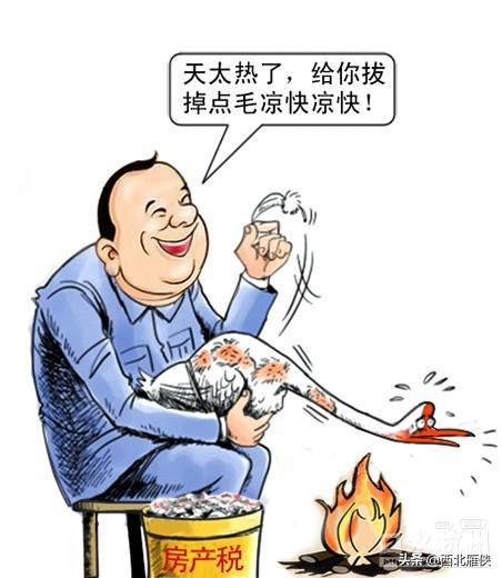 总经理收入高如何避税,本月解读