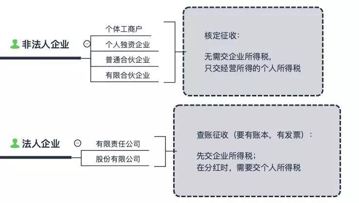 天猫一般纳税人怎么避税,当日表述