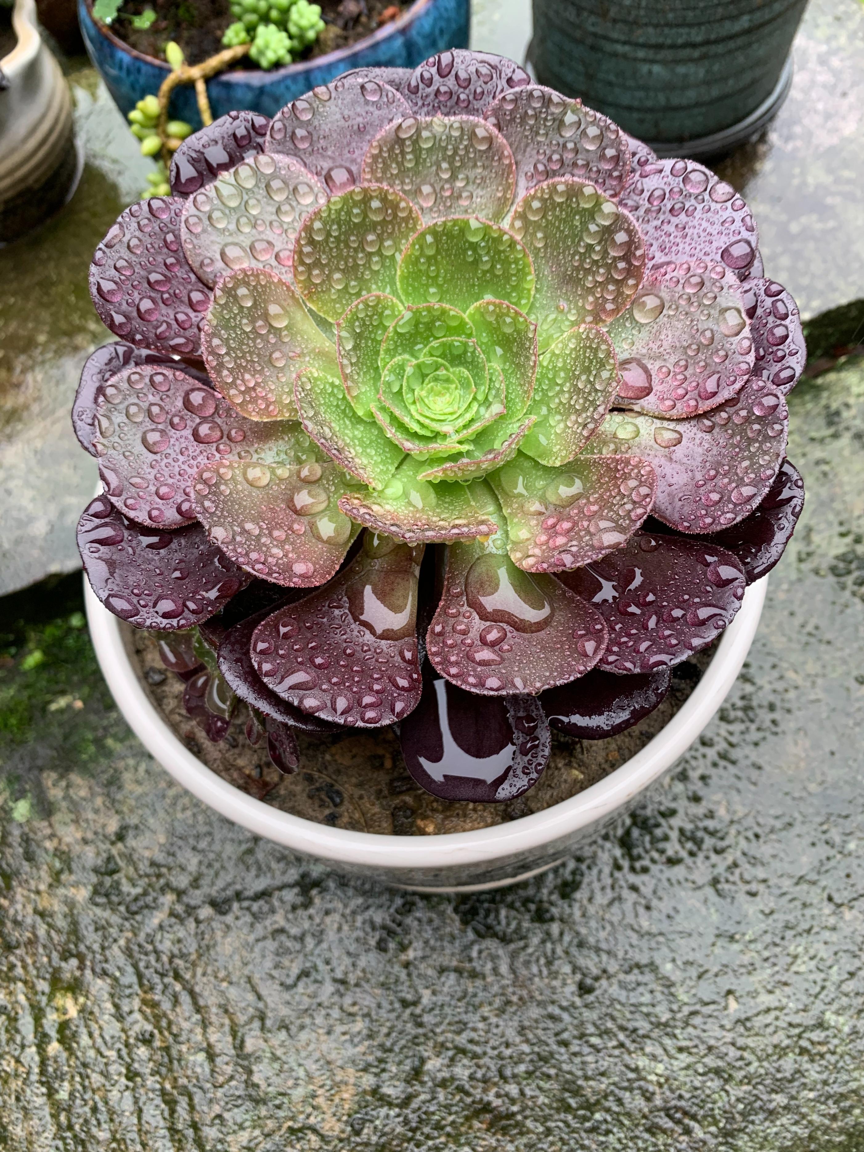 增值税可以避免吗,近期热点
