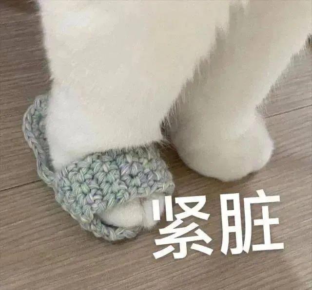 税务筹划都是有风险的,当日解答