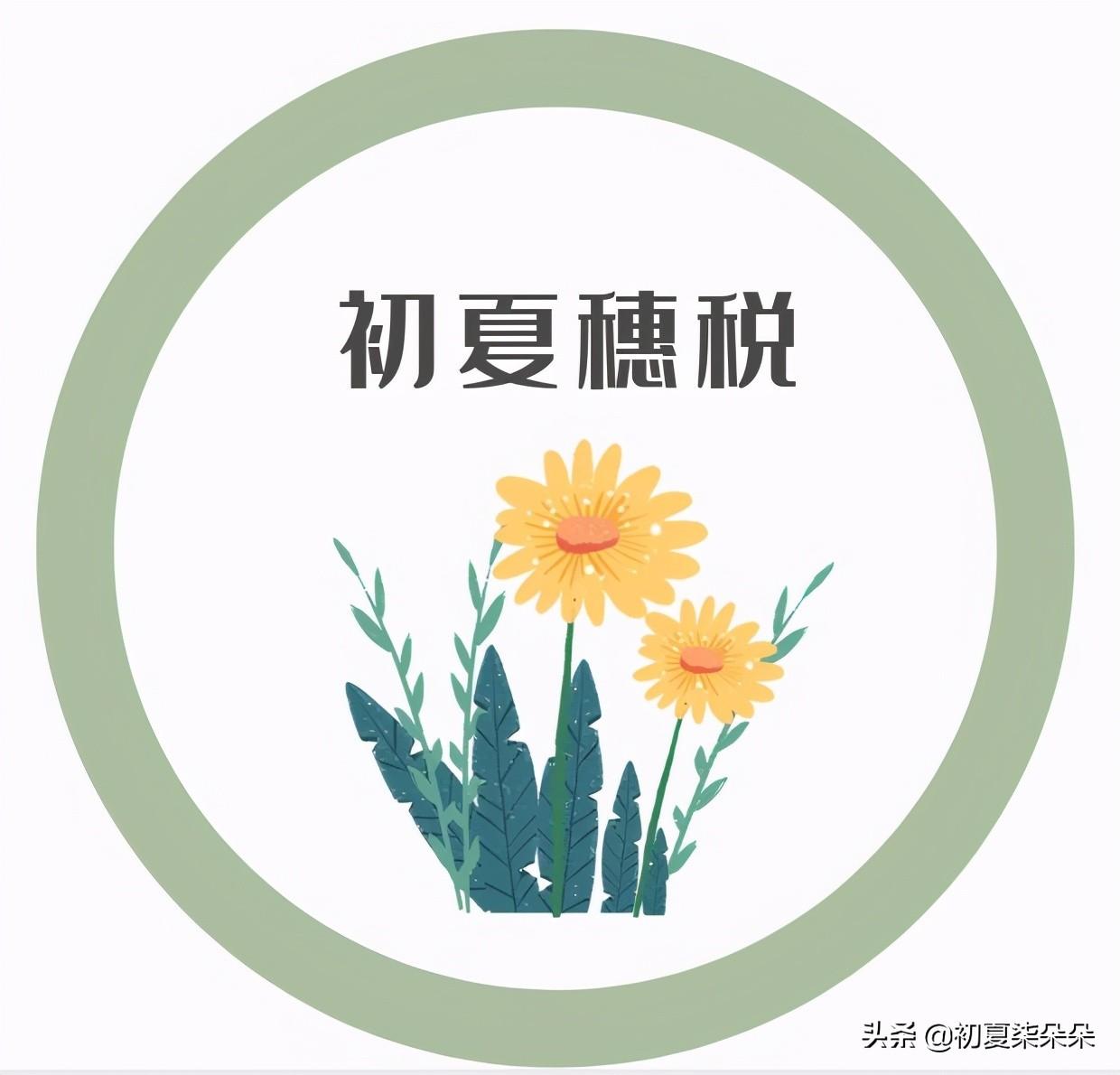 纳税筹划怎么做的更好,当日阐述