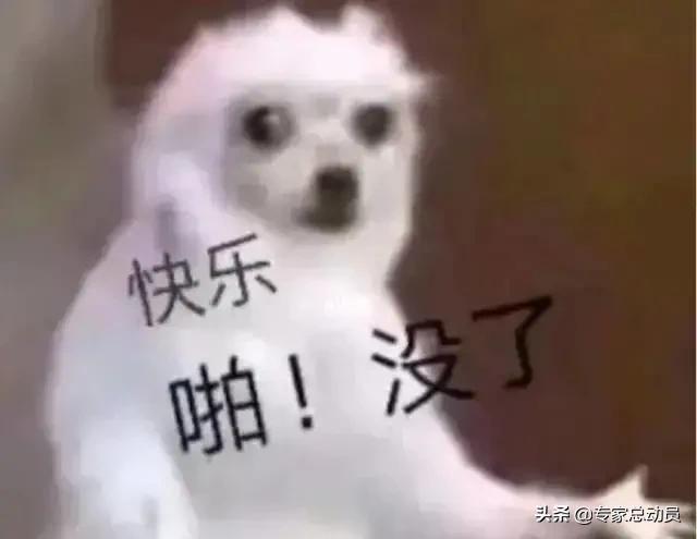 税务筹划年底需要什么资料,近期解释
