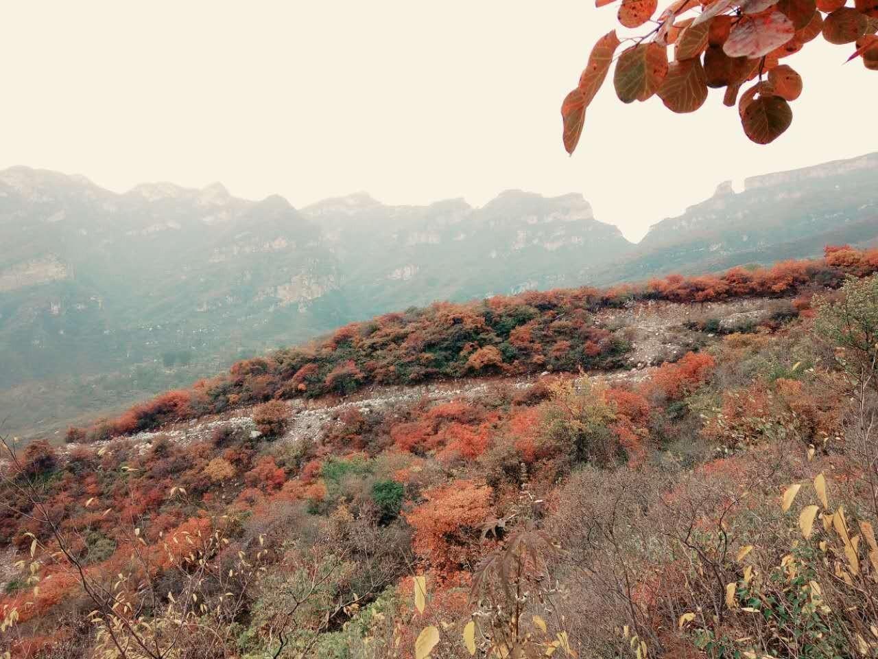 合法避税违法吗知乎文章内容,实时解释