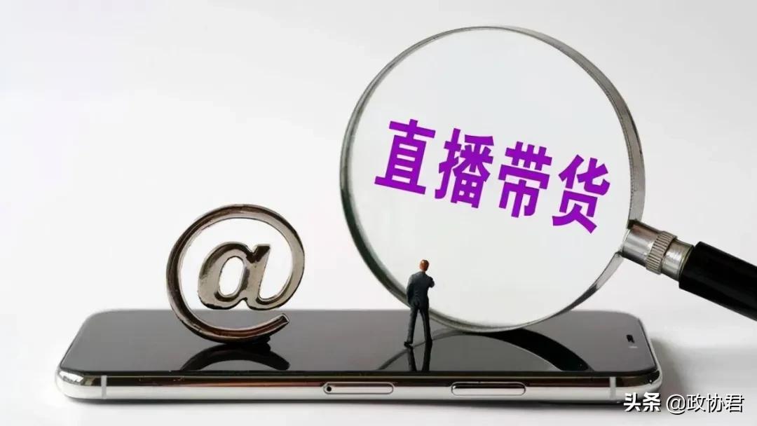 一般反避税条款案例分析,近期要点