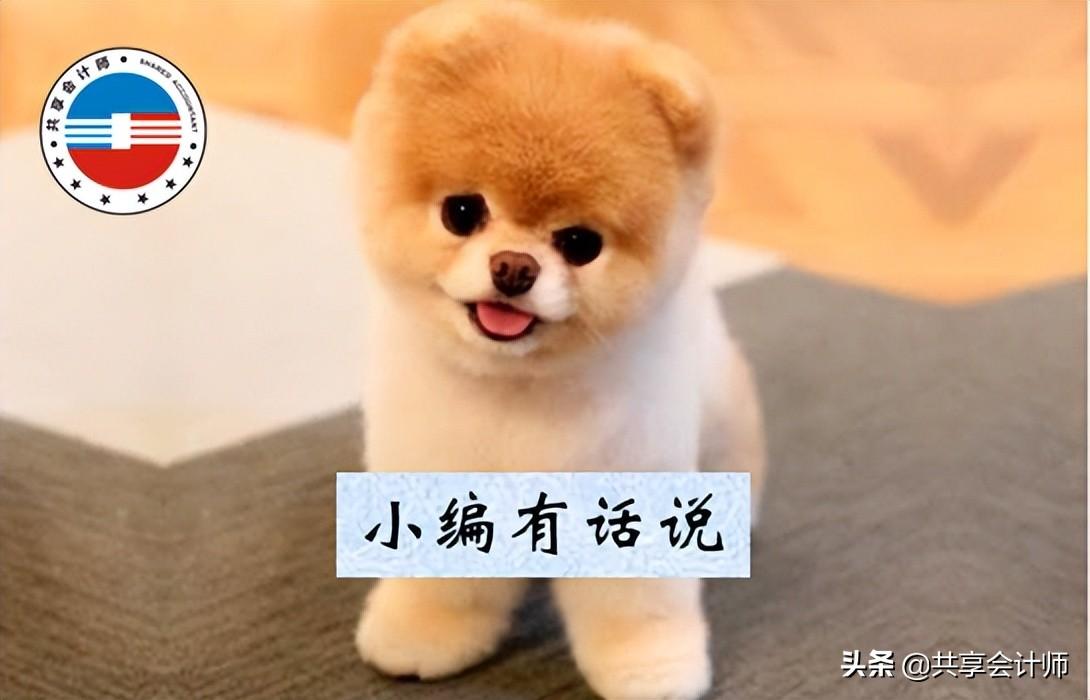 通过个人公司合理避税的方法,实时理解