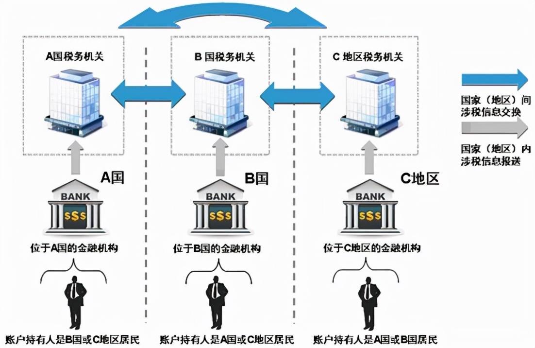 公司给避税个人有责任吗,今日研读