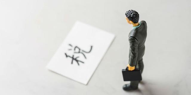 政府倡导的纳税筹划形式是,近期要点