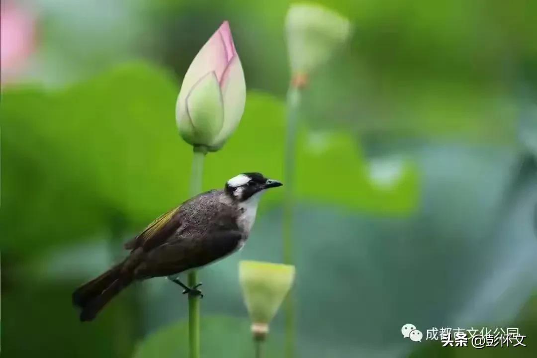 销售返利合法避税,本月消息