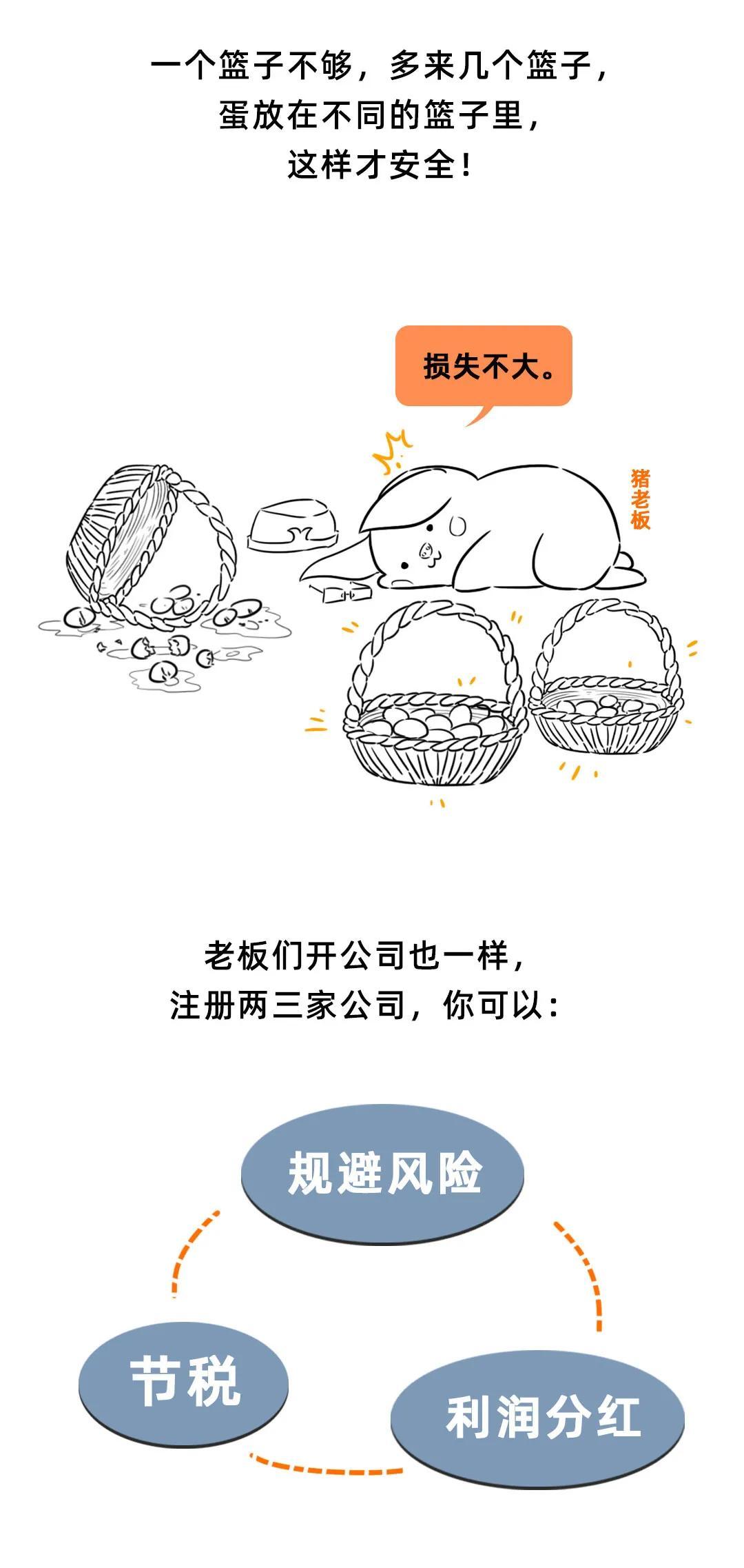成立多家公司避税违法吗,今日理解