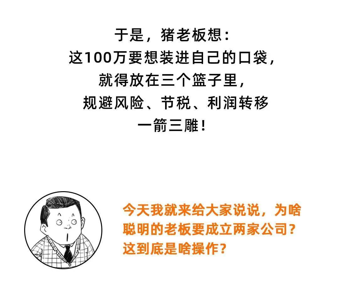 成立多家公司避税违法吗,今日理解