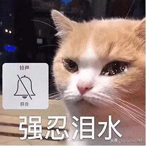 建筑劳务企业税务筹划报告,今日分析