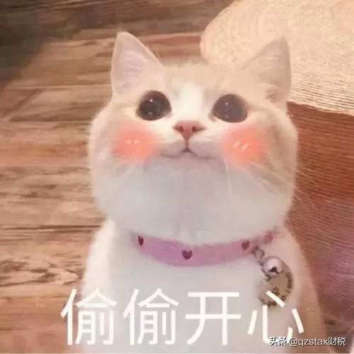 建筑劳务企业税务筹划报告,今日分析