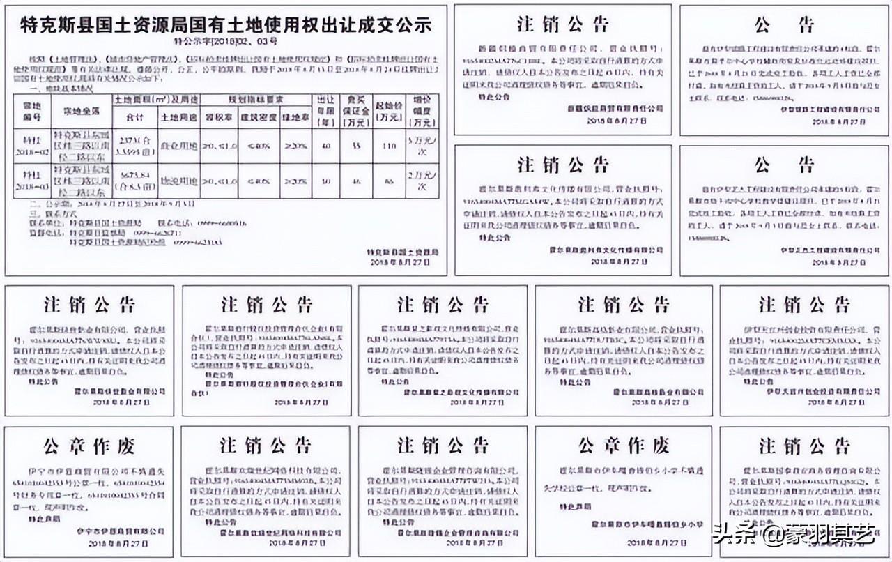 明星避税江苏新沂,今日分析