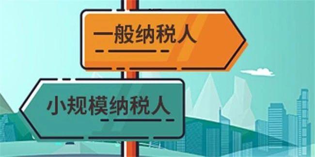 公司没有进项是什么意思,实时资讯