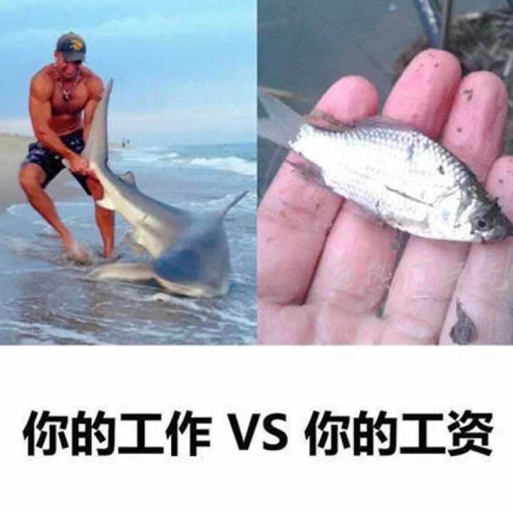 个人抬头的普通发票图片,今日推荐
