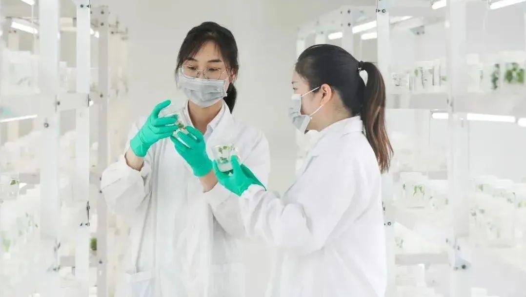 哪里税收优惠政策最好,今日阐释