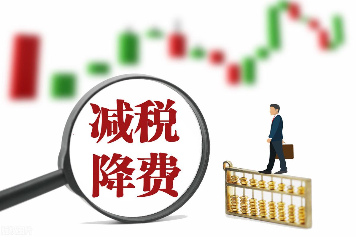 一般纳税人增值税税收优惠,本月阐释