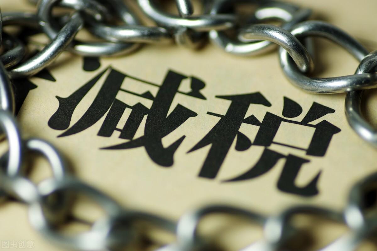一般纳税人增值税税收优惠,本月阐释