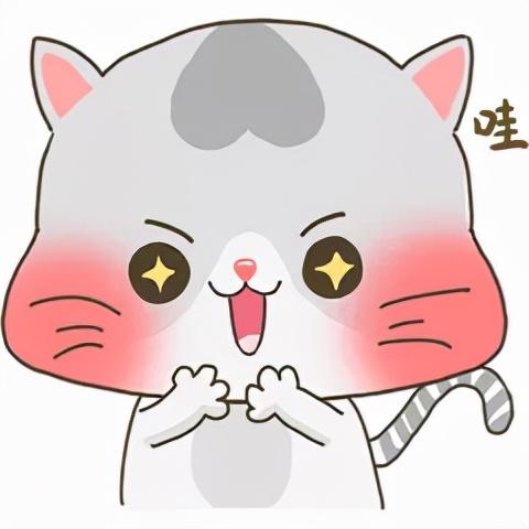 厦门个税返还政策,本月商讯