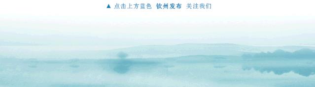 广西钦州自贸区税收优惠政策,近期信息
