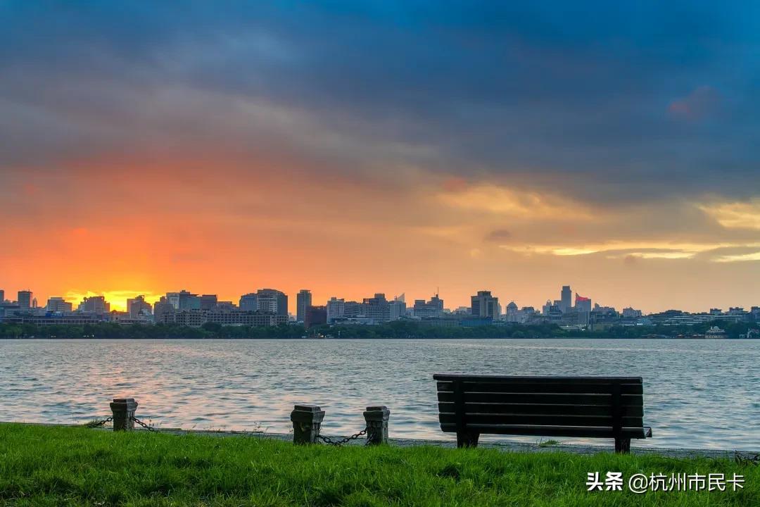 浙里办怎么开个人发票,当日研读