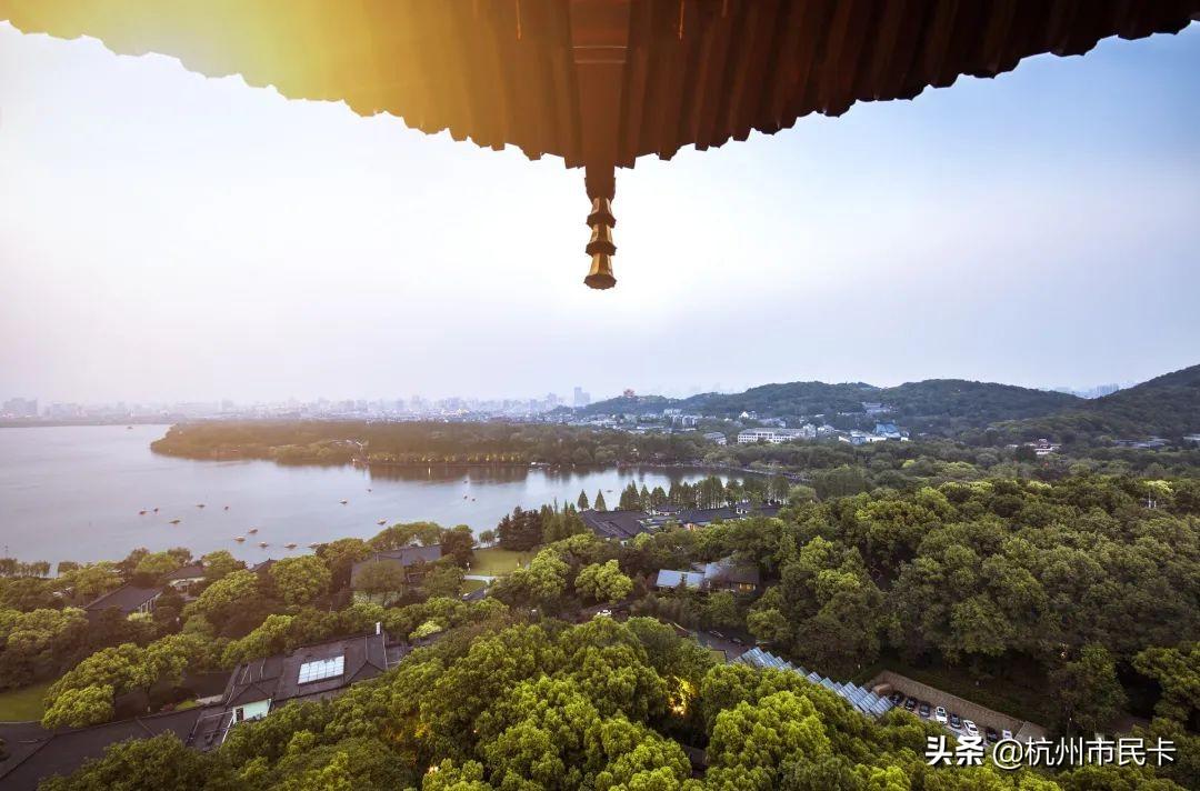 浙里办怎么开个人发票,当日研读