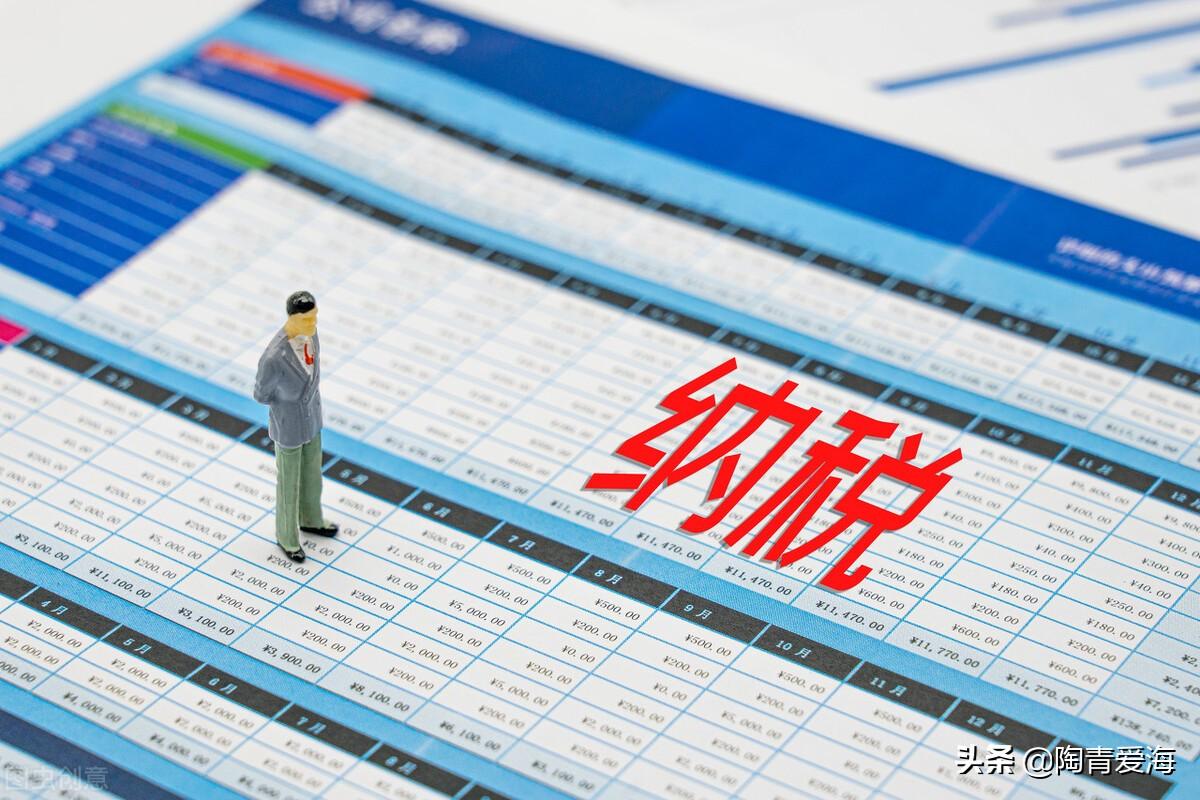 个人税务局开发票,今日研读