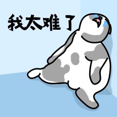 咨询服务费的公司成本票,当日诠释