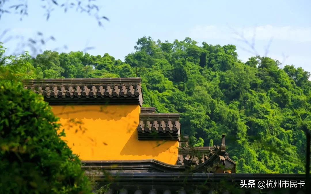 浙里办怎么开个人发票,当日研读