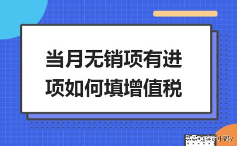 有销项无进项情况说明书,当日信息