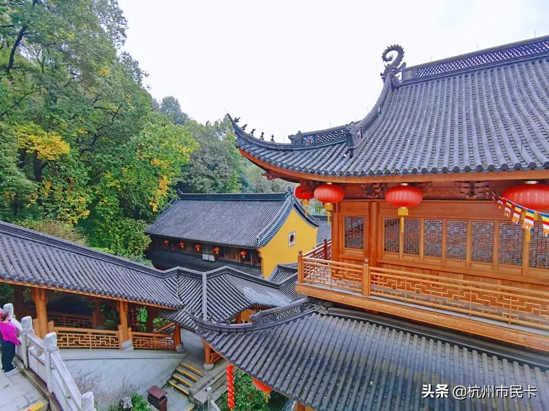 浙里办怎么开个人发票,当日研读
