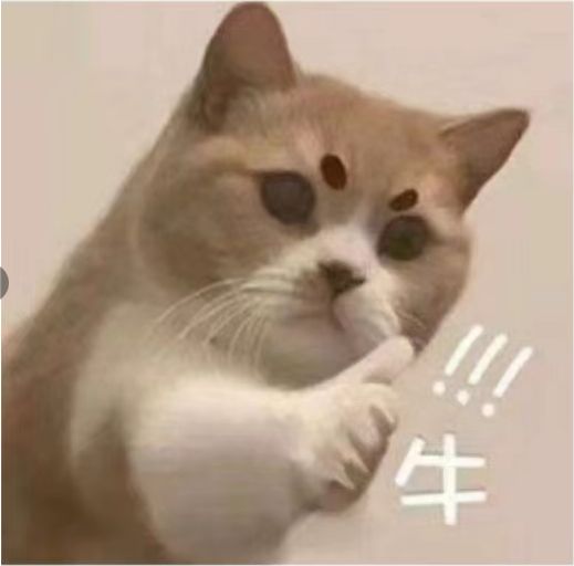 小微企业所得税优惠政策2022,当日解读