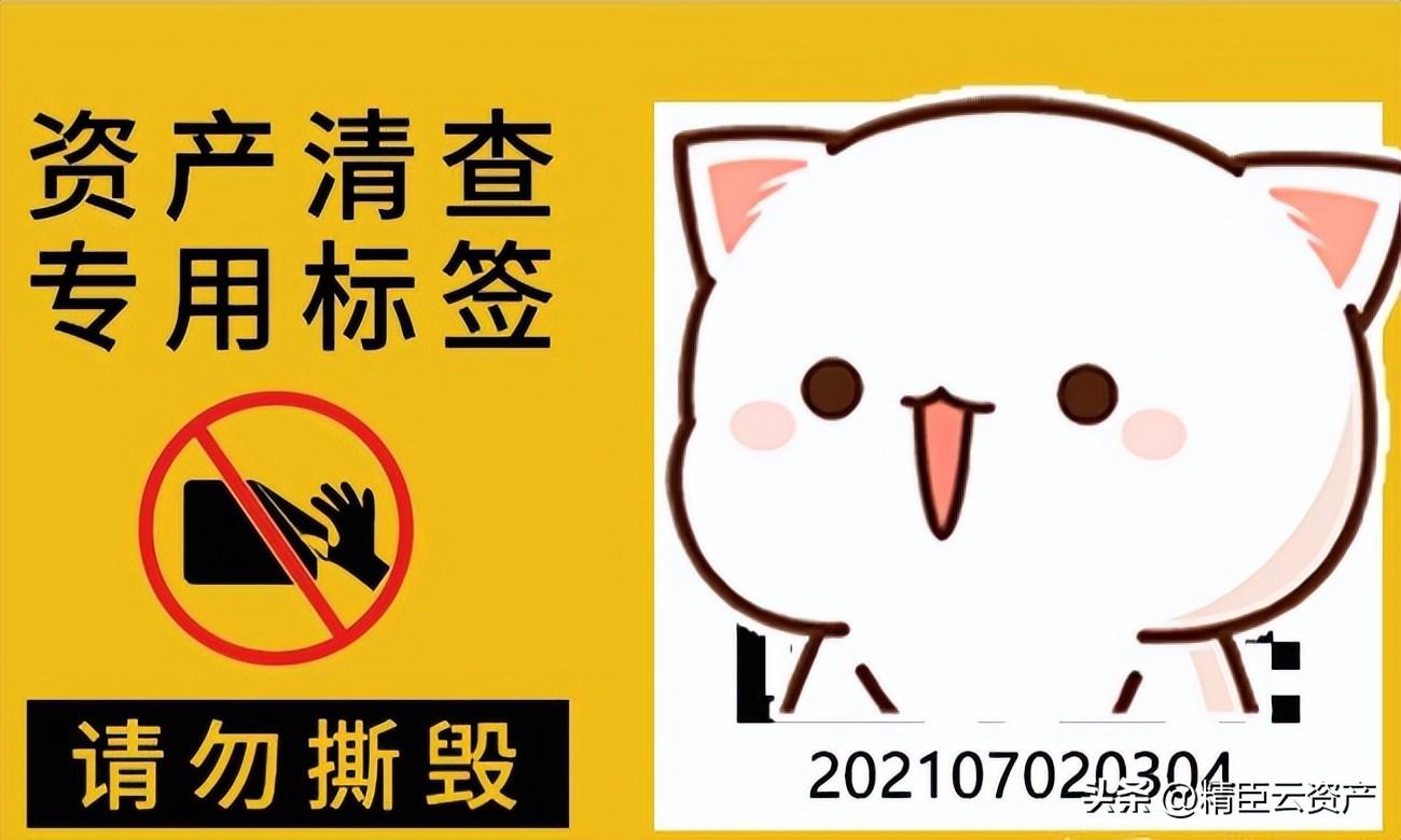 资产清查收费标准,实时分析