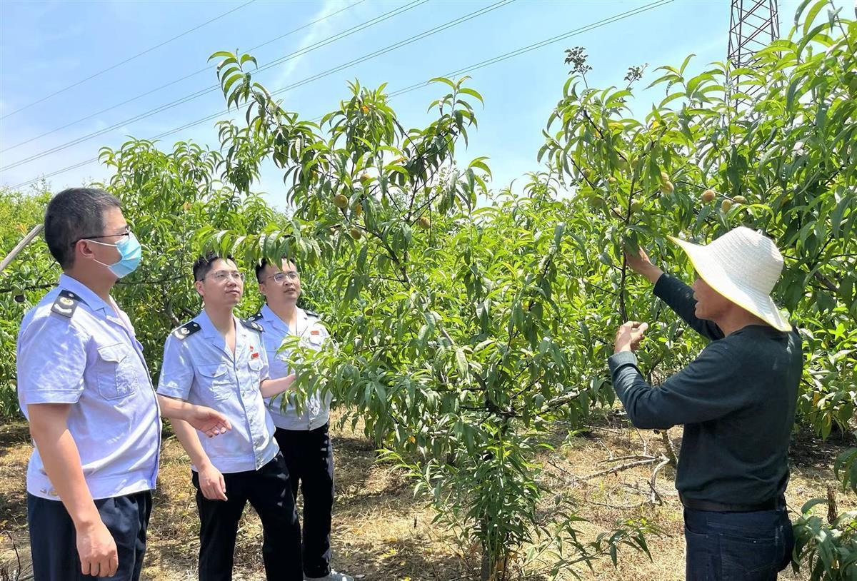 湖北税务最新政策,当日认识