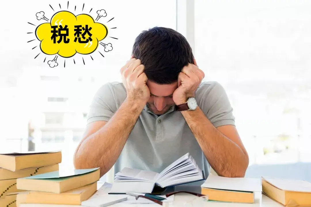 青岛返税政策,当日诠释