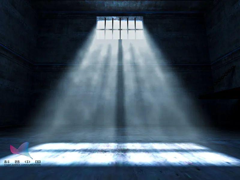 个体户给公司开票避税被发现会怎样,1分钟前更新