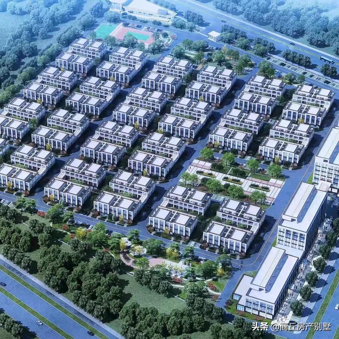 园区返税,本月分析