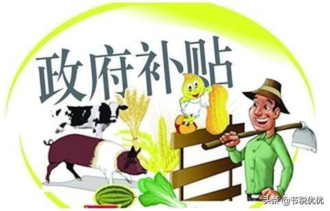 上海返税,实时要点