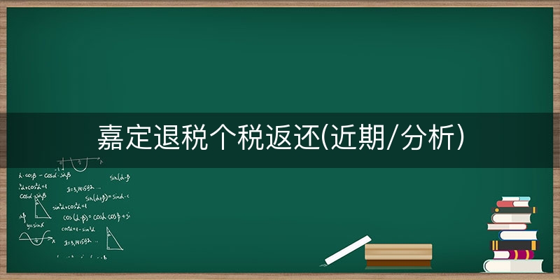 嘉定退税个税返还(近期/分析)