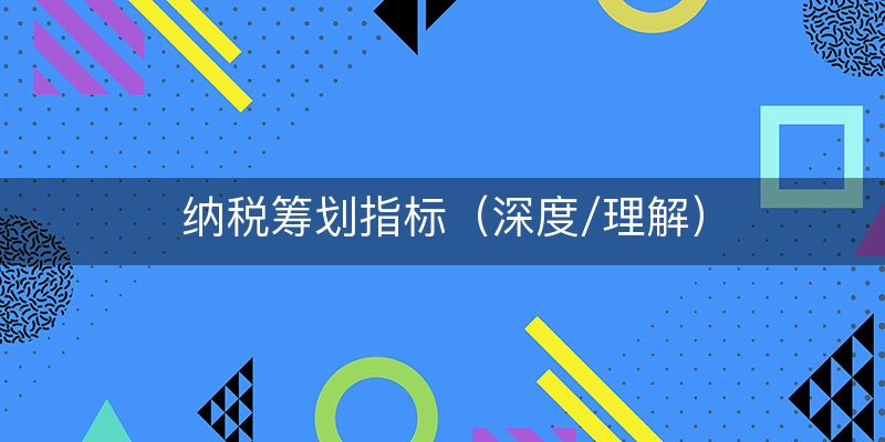 纳税筹划指标（深度/理解）