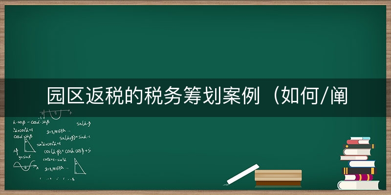 园区返税的税务筹划案例（如何/阐释）