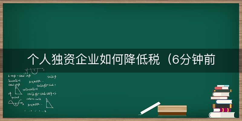 个人独资企业如何降低税（6分钟前更新）