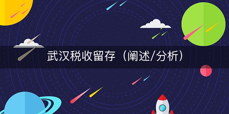 武汉税收留存（阐述/分析）