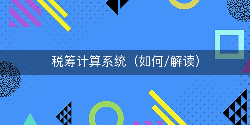 税筹计算系统（如何/解读）
