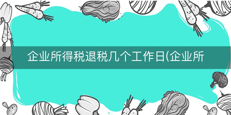 企业所得税退税几个工作日(企业所得税退税申请)（深度/诠释）