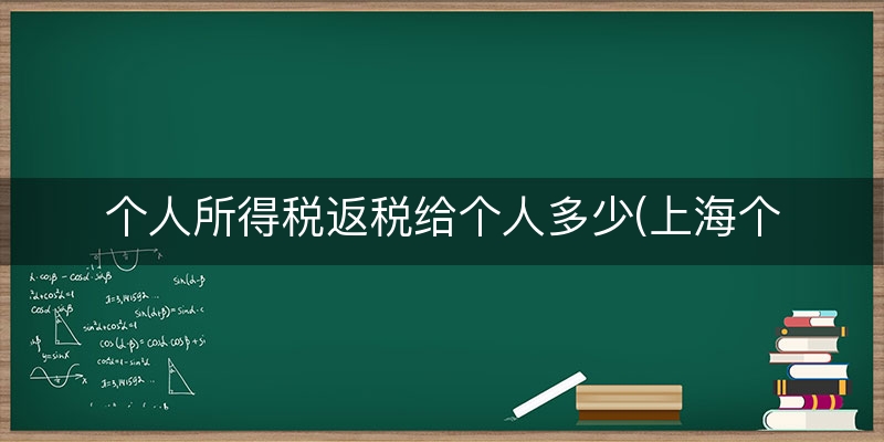 个人所得税返税给个人多少(上海个人所得税返税)（研读/归纳）