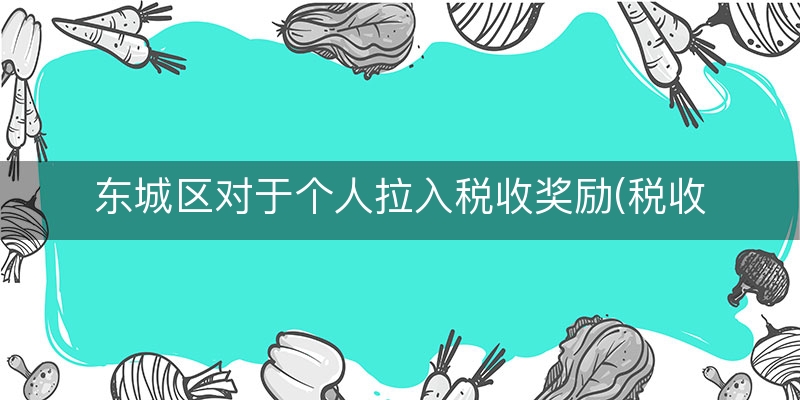 东城区对于个人拉入税收奖励(税收奖励账务处理)（正确/阐释）