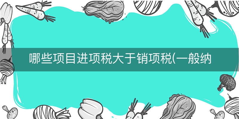 哪些项目进项税大于销项税(一般纳税人进项大于销项)（满意/回答）